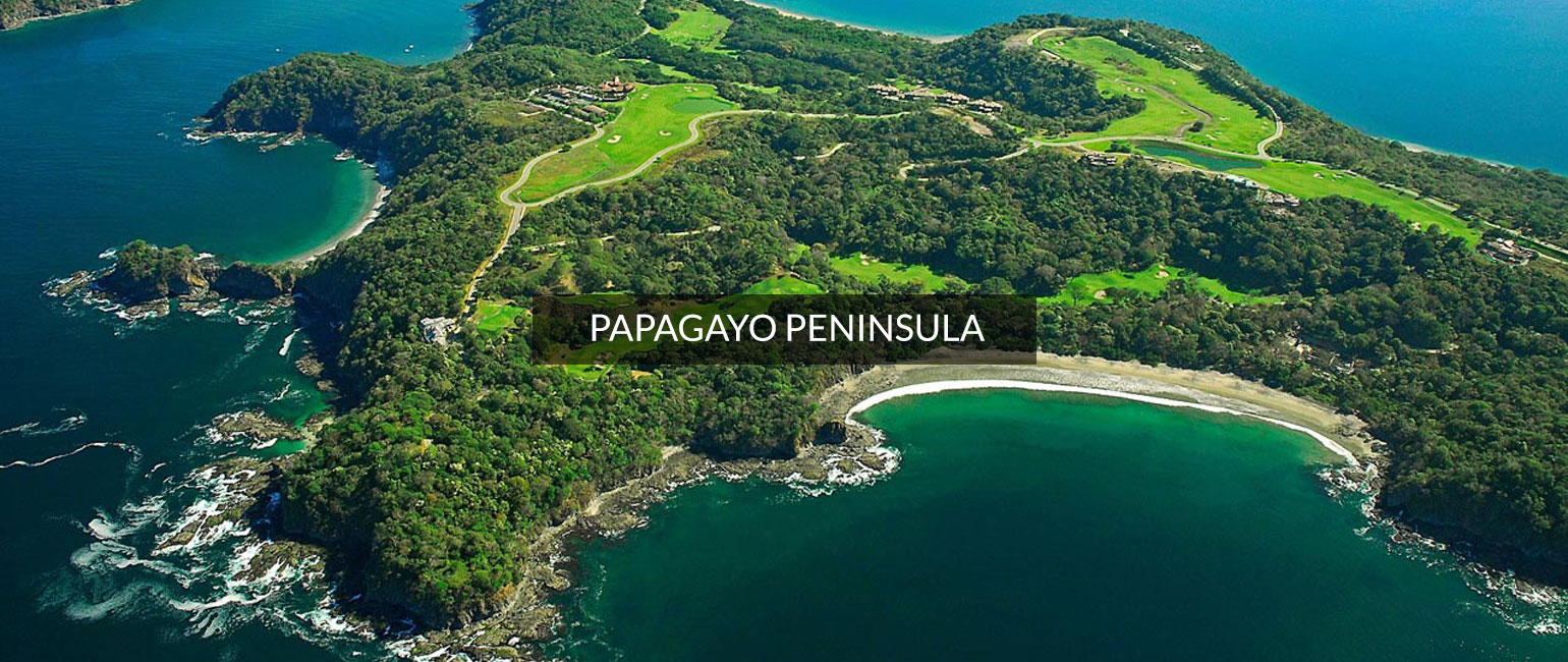 Papagayo